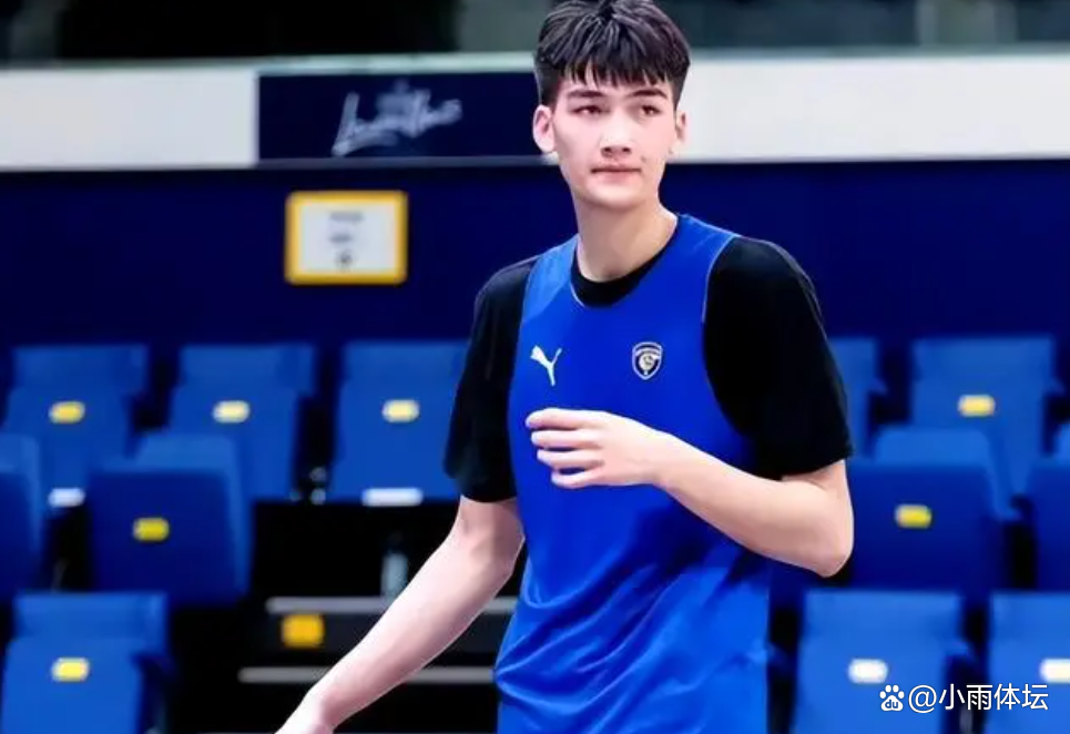 旺财28-Ning新星回归赛场表现惊艳，塞尔维亚队未来可期！的简单介绍