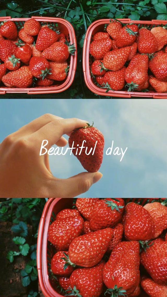 旺财28娱乐-JackeyLove新星精彩发挥表现惊艳，MAD未来可期！的简单介绍